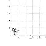 گل گوش  ۱۶۹۵۷ - تصویر 3