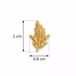 گل گوش برگ؛ ۲۱۹۸۴ - تصویر 3